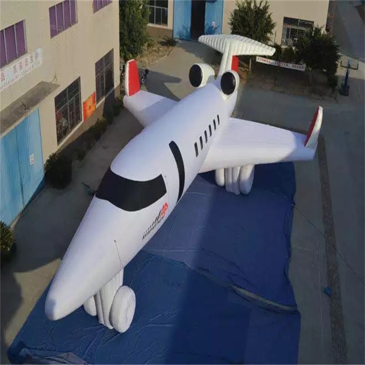 临泽充气模型飞机